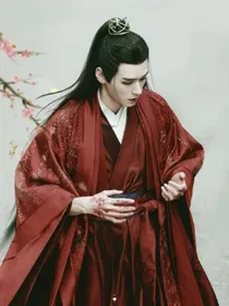 综影视：与君行