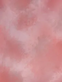 他们的小确幸