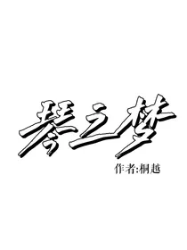 琴之梦