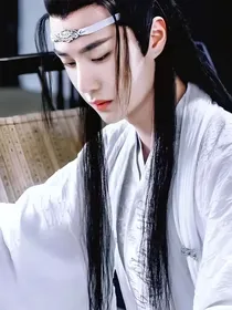 蓝湛，我想退婚了