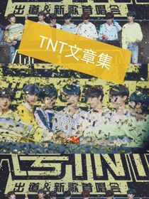 TNT文章集