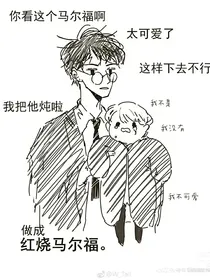 HP：穿越后成为德拉科姝姝