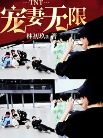 TNT：宠妻无限