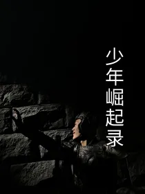 少年崛起录