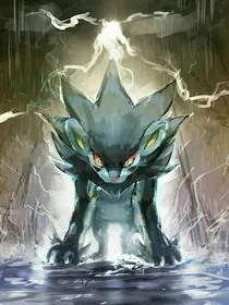 精灵宝可梦：炎雷交织的奇迹