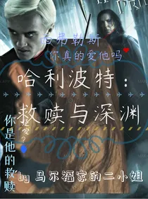 哈利波特：救赎与深渊