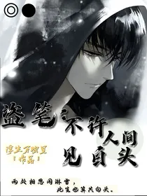 盗笔：不许人间见白头