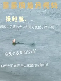 星星围着月亮转