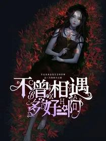 不曾相遇多好啊