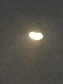 末世，第一个僵尸竟是我