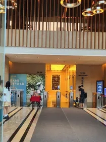 追星成功之后变男友