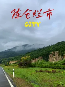 陈仓烂市