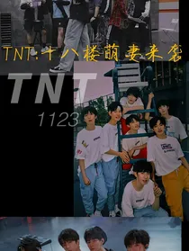 TNT：十八楼萌妻来袭