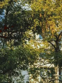 快穿之我有俩老公你有吗