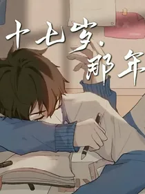 十七岁那年—