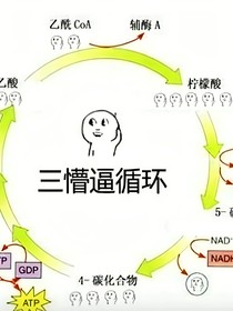 这个仁兄，上错奈何桥了