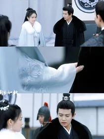 周生如故之唯一的南辰王妃