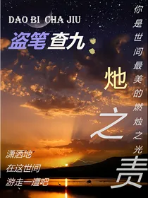 盗笔查九：灺之责