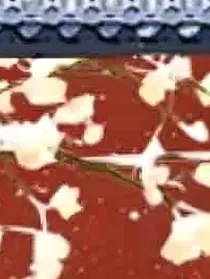 深宫曲同人文：绘卷之人