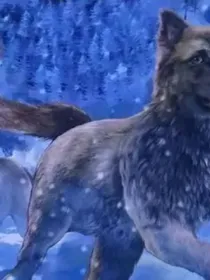 牧犬三部曲（1）