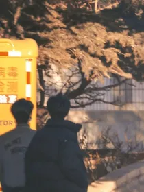 翔霖：故里逢春