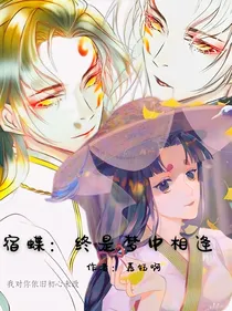 宿蝶：终是梦中相逢