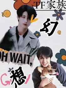 TF家族：幻想