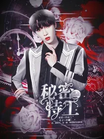 R1SE：秘密特工