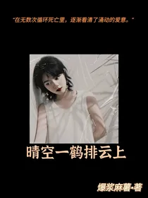 开端：晴空一鹤排云上