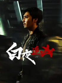 白夜追凶：巡绕千回