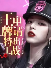 TNT：王牌特工申请出战