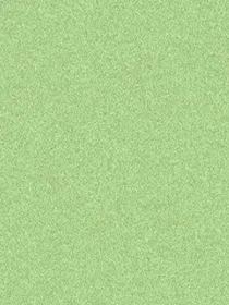 现在的穿越者都烂大街了吗