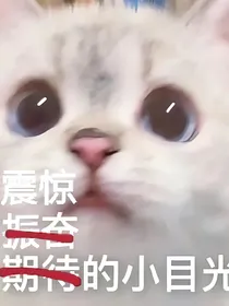 窗边的少年有点勇