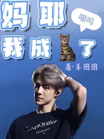妈耶我成猫了