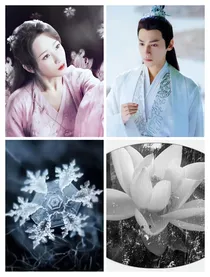 香蜜：一生一世一双人