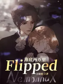 海底两万里：Flipped