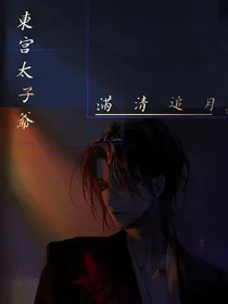 东宫太子爷满清追月