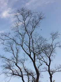 曾有星光落长河