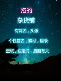 洛的杂货铺