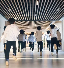 TF三代：玫瑰计划