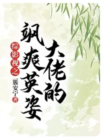 综影视之大佬的飒爽英姿