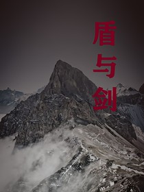 盾与剑