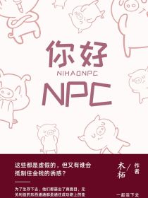 你好NPC