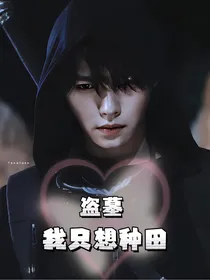 盗墓：我只想种田