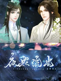 夜照流光