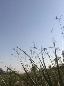 铭侦探郎睿