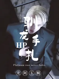 HP：驯龙手扎