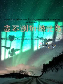 去不到的极光岛