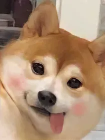 翔霖：这样恋爱太犯规啦