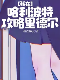 我在哈利波特攻略里德尔